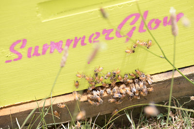 Hamilton-based Summerglow Apiaries gives customers an exciting new shopping experience with its integrated Facebook shopping app.