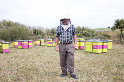 Waikato based Manuka Honey producers, SummerGlow Apiaries welcome the backyard beekeeping boom.