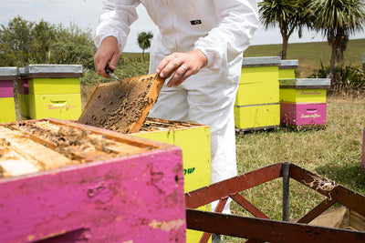 Summer Glow’s great hope for Manuka Honey Industry